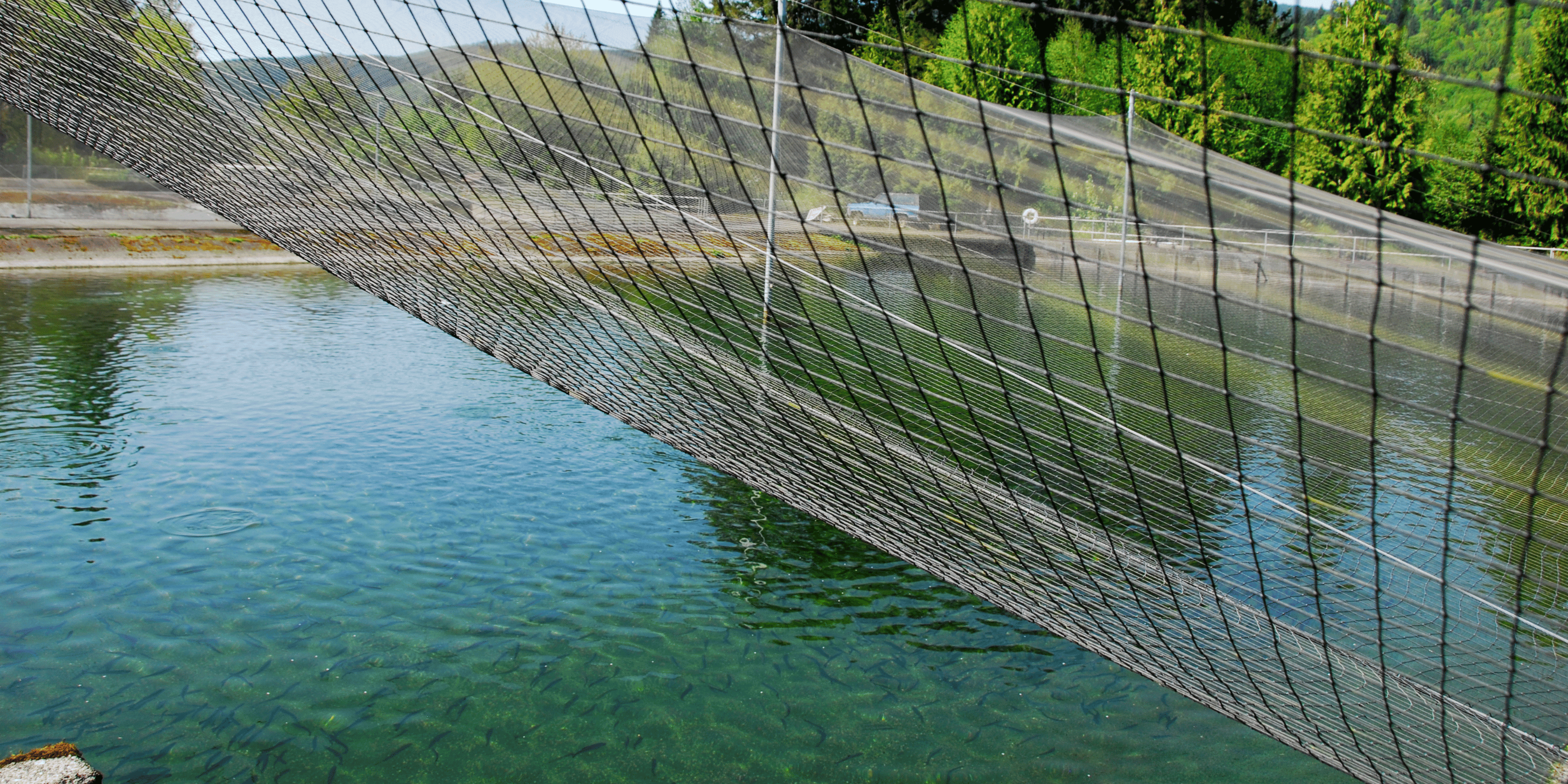 Custom Aquaculture netting protecting fish stock from bird and other predators