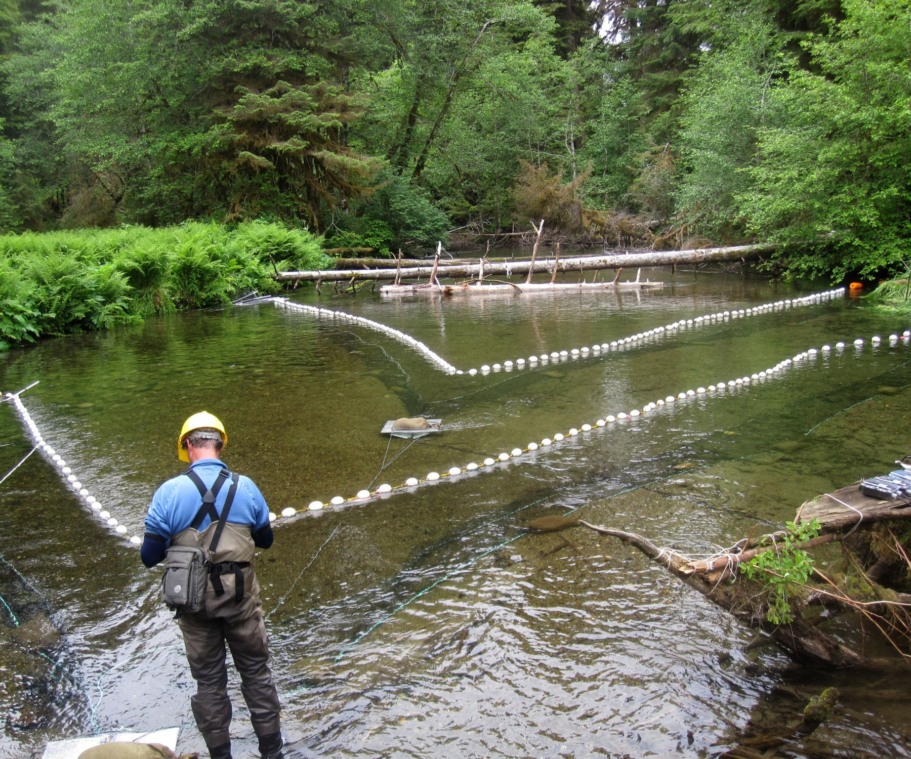 Custom research netting being used by NOAA member