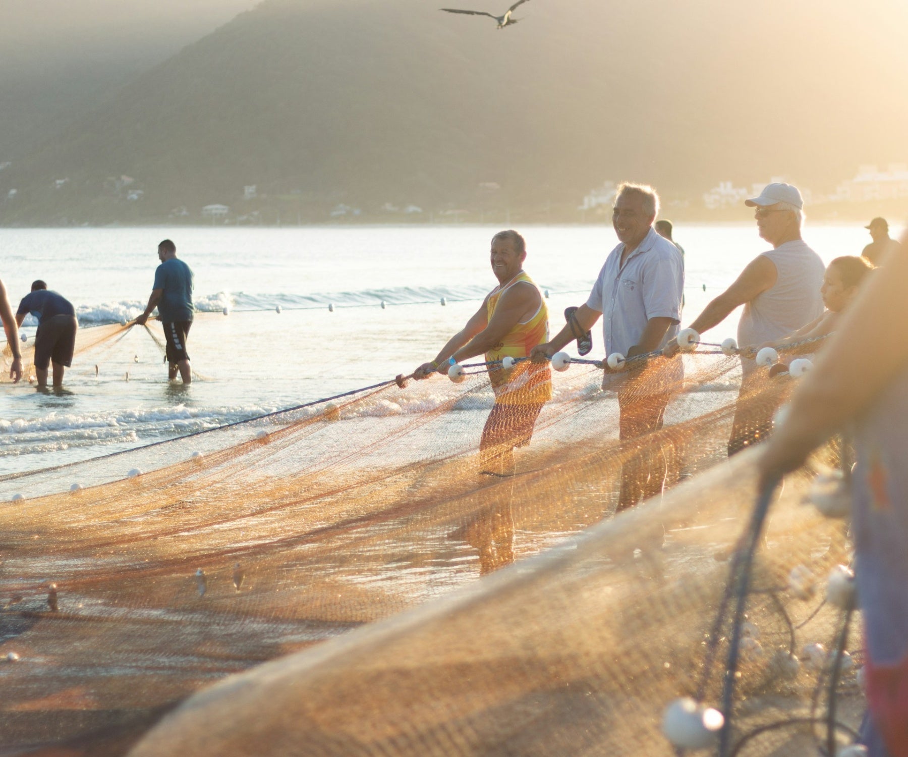 Custom beach seine netting pulled onto shore