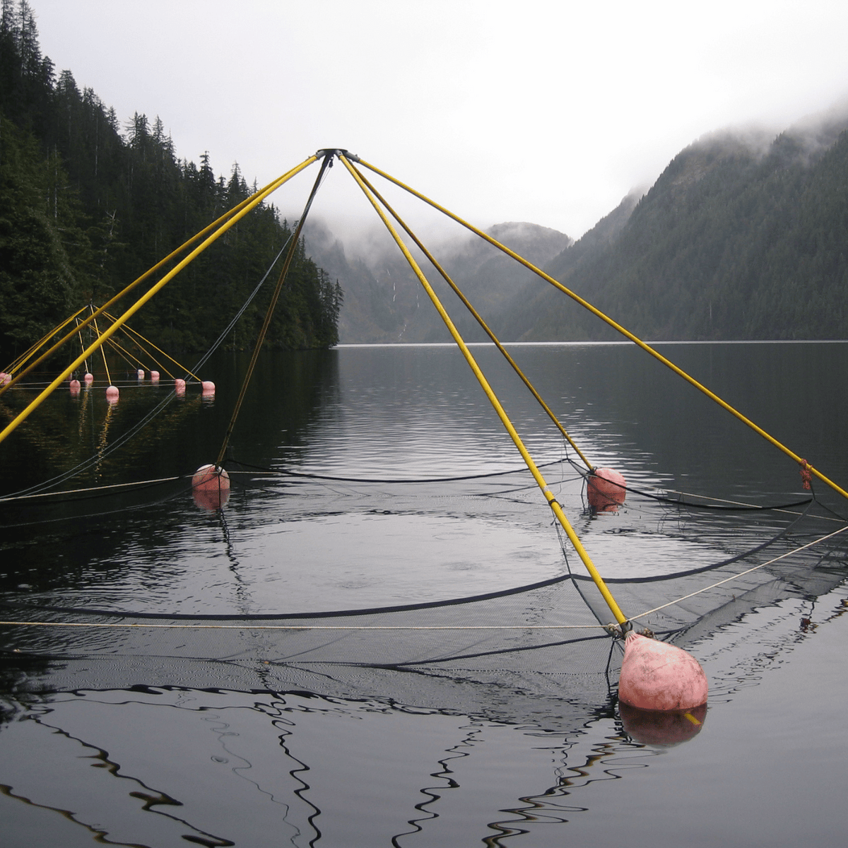 Custom Aquaculture Netting | Live Expert Help | Fast Lead Times